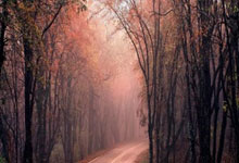 乐鱼体育:【原创】足球赛事周日011德甲推荐: 莱红牛VS圣保利.