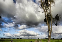 乐鱼体育:意甲4连胜!莫塔:赛程进入关键期需保持专注,伊尔迪兹潜力巨大.